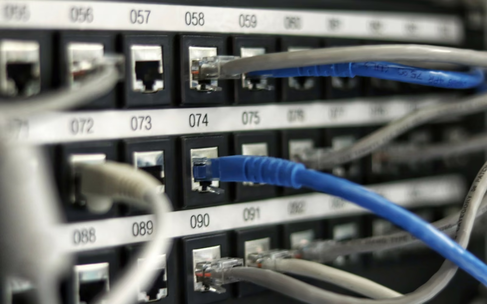 Kabel jaringan biru terpasang pada panel patch