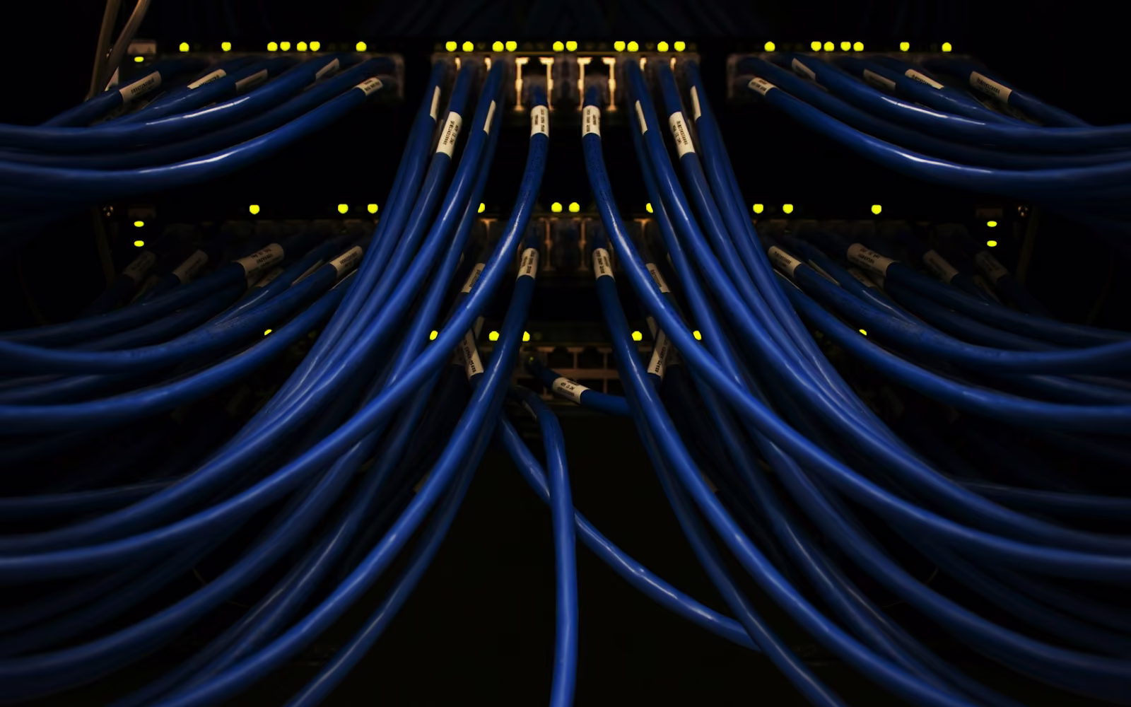 Kabel jaringan biru terhubung pada perangkat